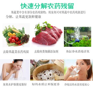 2000mg多功能水族鱼缸消毒杀菌活氧净化水质异味果蔬肉臭氧解毒机