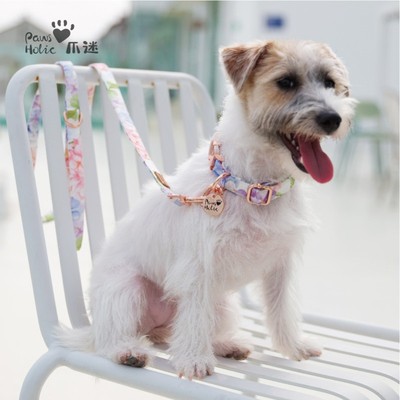 pawsholic爪迷项圈狗狗脖圈颈圈中小型犬牵引绳柯基法斗狗牌刻字