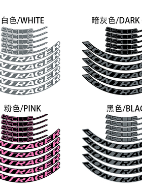 棒槌哥Bontrager Aeolus Elite 50TLR公路碟刹轮组自行车贴纸车圈