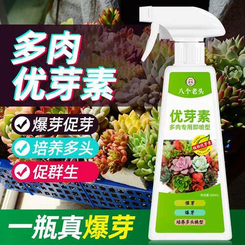 八个老头优芽素多肉专用催发芽侧芽爆芽素多肉植物肥料生根营养液
