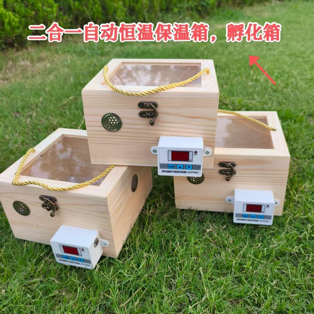 高出壳水床孵蛋器鹦鹉卢丁鸽子孵化箱手养鹦鹉幼鸟自动恒温育雏箱