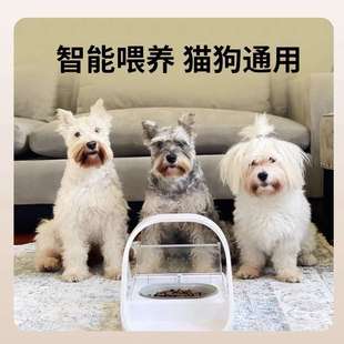 surefeed芯片识别感应喂食器多猫家庭自动分餐宠物猫碗保鲜防虫