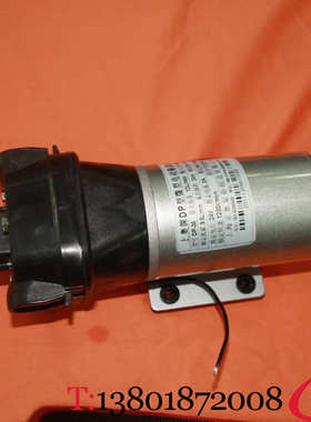 微型隔膜泵高压泵自吸泵12V24V直流隔膜泵正奥泵DP-35上海