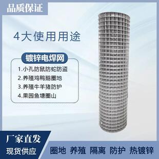 防锈铁丝网养殖鸡鸭狗笼电焊网热镀锌围栏护栏网果园钢丝网阳台网