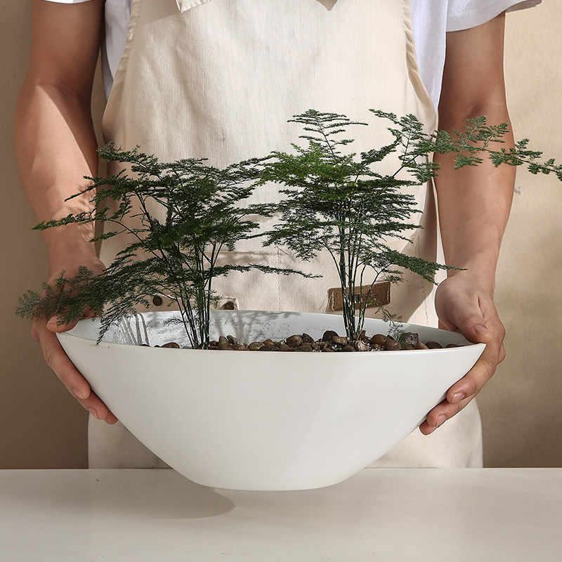 创意几何形无孔组合陶瓷花盆蝴蝶兰多肉盆景绿植花卉可水培容器