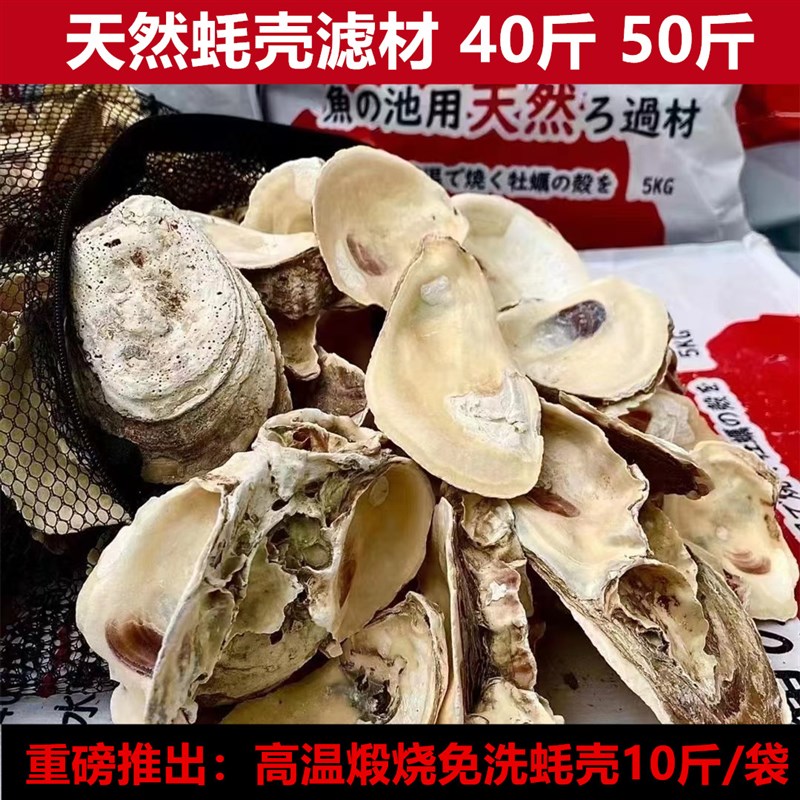 鱼池过滤蚝壳滤材锦鲤鱼池净化天然蚝壳防跌酸碱性滤材牡蛎壳过滤