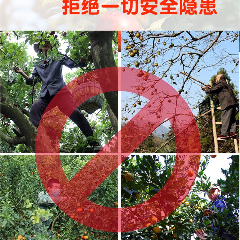 摘果神器高空摘果剪修枝果树剪刀摘果剪高枝锯龙眼剪伸缩桂圆荔枝