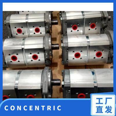 CONCENTRIC齿轮泵 WP09A3B140L12QB122N 转移水泵
