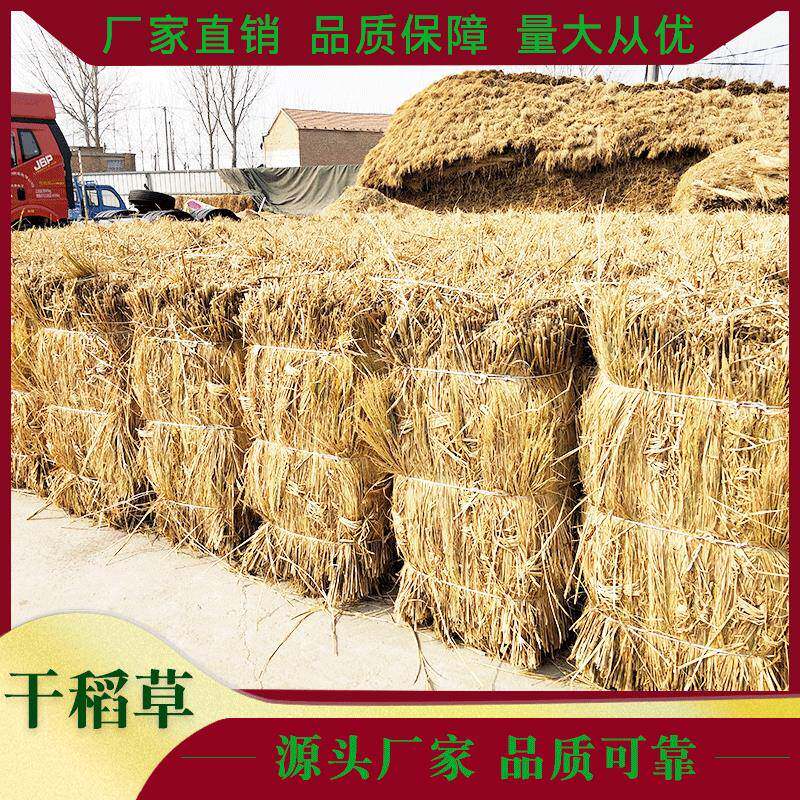 沙屋漠草绿化干干JIL稻草大棚稻草帘子山庄顶稻草草垫子稻草