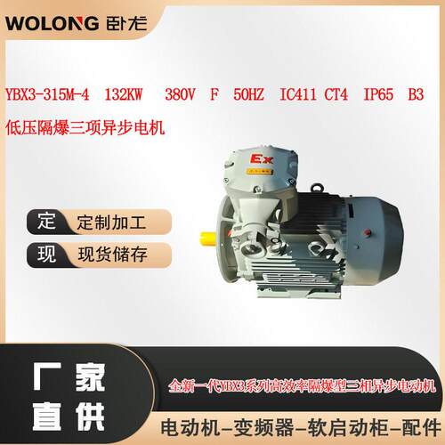 YBX3-315M-4132KW380VIC411CT4IP65卧龙低压隔爆电机