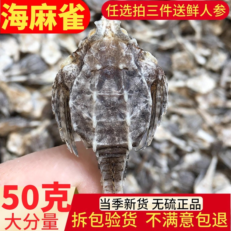 海麻雀干货50克装包邮 渔民自晒宜搭配海龙养生煲汤泡酒料海燕子