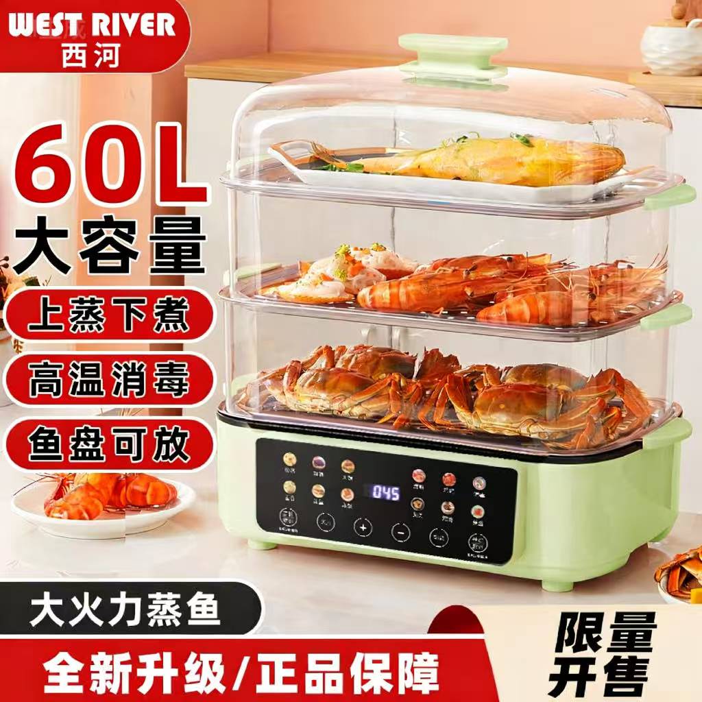 德国多功能电蒸锅大容量60L鱼盘放上蒸下煮多功能自动断电干烧