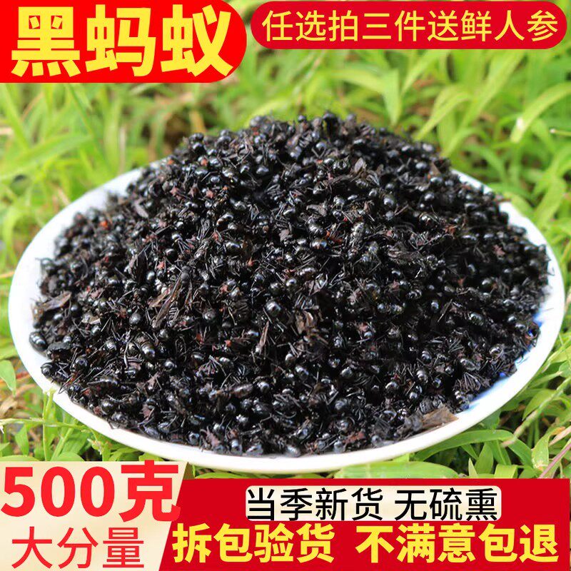 黑蚂蚁干长白山蚁拟黑多刺蚁500g包邮养生泡酒料大蚂蚁酸黑蚂蚁粉