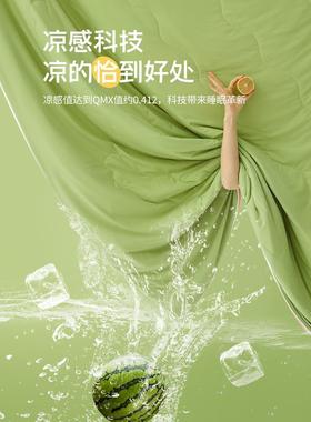 西瓜冻冻被子洗夏凉被夏季空调被人四CH-20574季通用被芯单棉可被