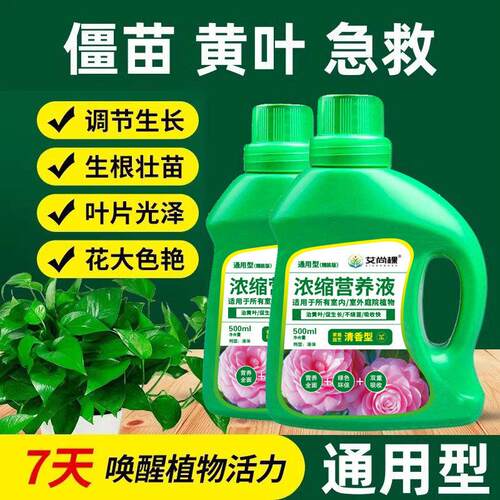 酸性植物营养液富贵竹水培绿萝发财树营养液黄叶玫瑰盆栽花卉肥料