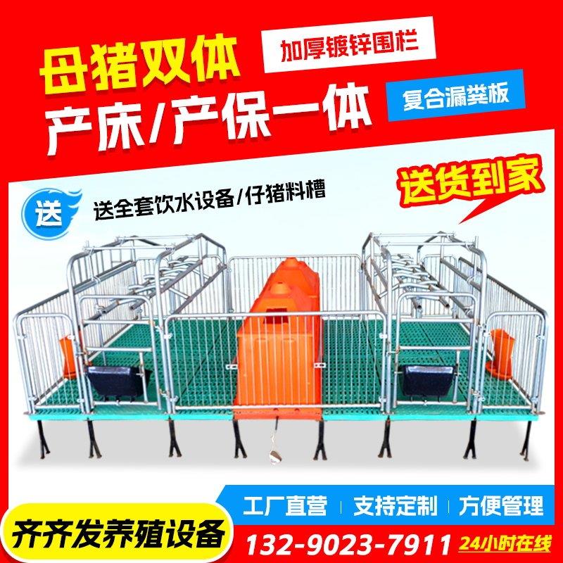 双体母猪产床保育床一体产保两用床养殖设备猪用单体产保分娩床