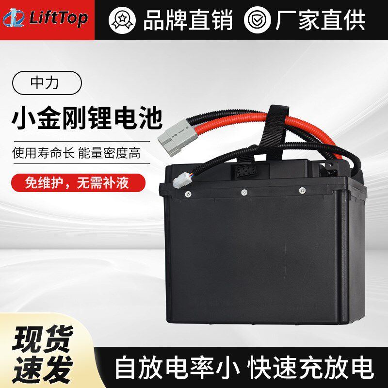 中力电动叉车电池电动搬运叉车电瓶蓄电池24V40AH48V20AH锂电池 - 实物图