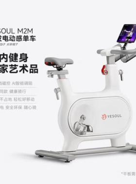 YESOUL野小兽动感单车小型静音健身器材室内运动健身车M2M