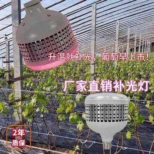 LED大樱桃葡萄草莓补光灯36W温室大棚植物生长光合作用补光生长灯