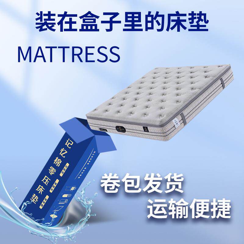 家庭护脊气老人儿童透椰硬床垫防污面独立袋装弹簧NHW海绵棕床料