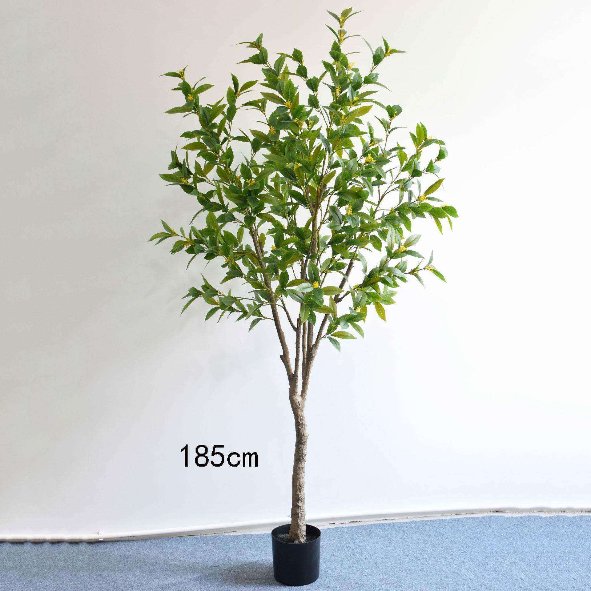 仿饰真仿真桂花月桂树内盆栽月桂叶仿真植物室办公绿植装室仿真树
