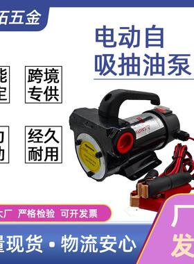 1v242v220v2携00w大功电动便971率式抽油泵