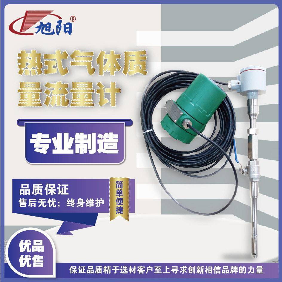 分体型插入式热式气体质量流量计数字显示烟气煤气热空气测量厂家