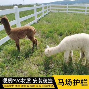 PVC马场护栏马术场地隔离栏杆塑钢围墙护栏马场围栏源头厂家
