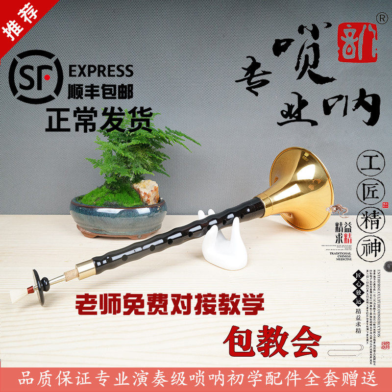 八音唢呐初学者专业乐器全套乌木黑檀D调降B民间喇叭吹点服务芯子