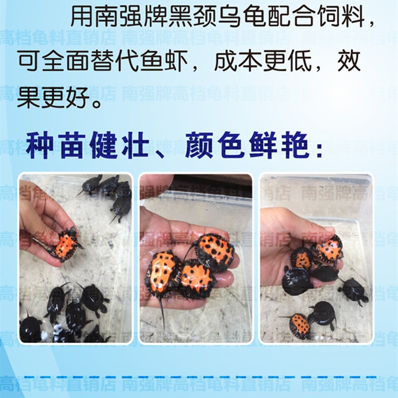 南强牌 黑颈龟料 黑颈乌龟专用宠物龟粮龟饲料专业 玩家级龟饲料