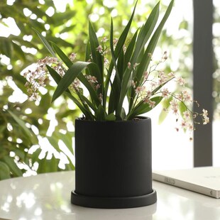 典雅黑色陶土盆花园庭院桌面简约素烧陶瓷花盆香松蝴蝶兰盆栽套盆