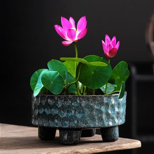 复古中式碗莲水培器皿花盆大口径陶瓷水养专用莲花绿植家用摆件