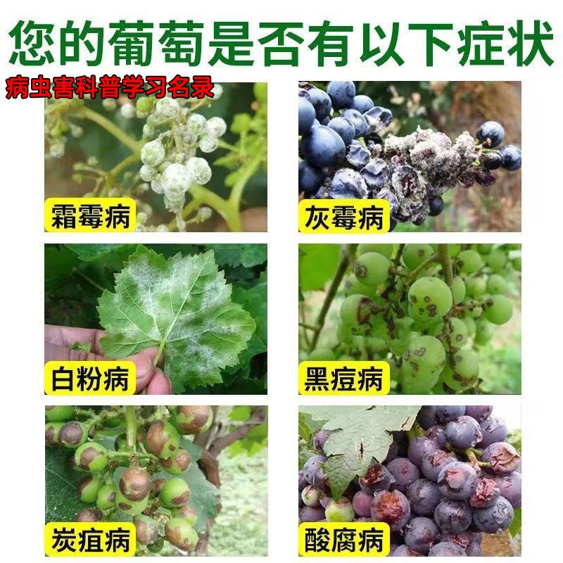 葡萄树专用药黄化病毒病卷叶病缩叶病叶片反卷变色枯萎灰霉霜病药
