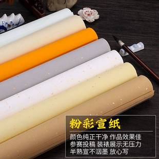 粉彩宣纸书法半生半熟四尺六尺整张对开作品纸仿古彩色描金宣纸