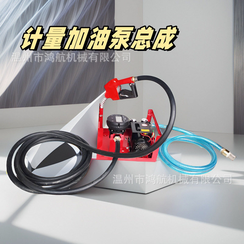 大流量电子计量加油泵抽油泵12V24V220V柴油加油机输油自吸泵总成图片