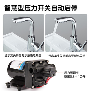 F42款 船用直流微型电动隔膜泵 静音房车水泵12V24V自吸增压泵卧式