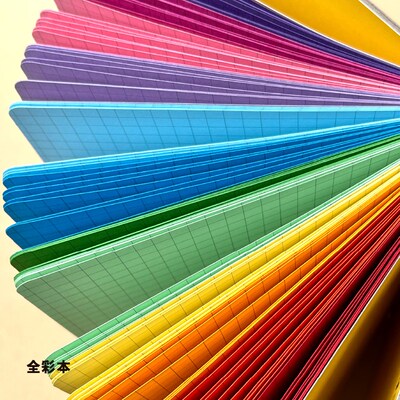 Chois Vivid 炫彩系列记事本 彩色内页 12色 手帐