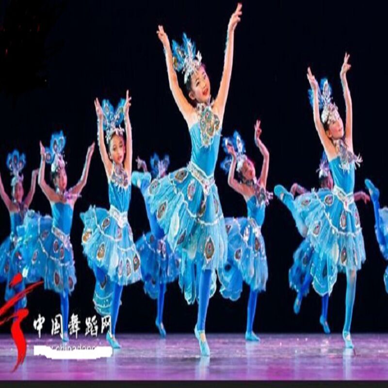 第八届小荷风采舞蹈服儿童五彩梦演出服装少幼儿傣族孔雀舞表演服