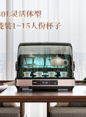 茶杯消毒柜小型304不锈钢可调层架办公室台式水杯消毒茶道专用