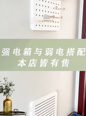 北欧洞洞板电表箱装饰画免打孔配电闸盒遮挡置物衣架竖款创意挂件
