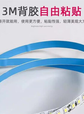 LED灯带12V24V48V120双排240灯5mm8mm10mm15mm高亮贴片低压软灯条