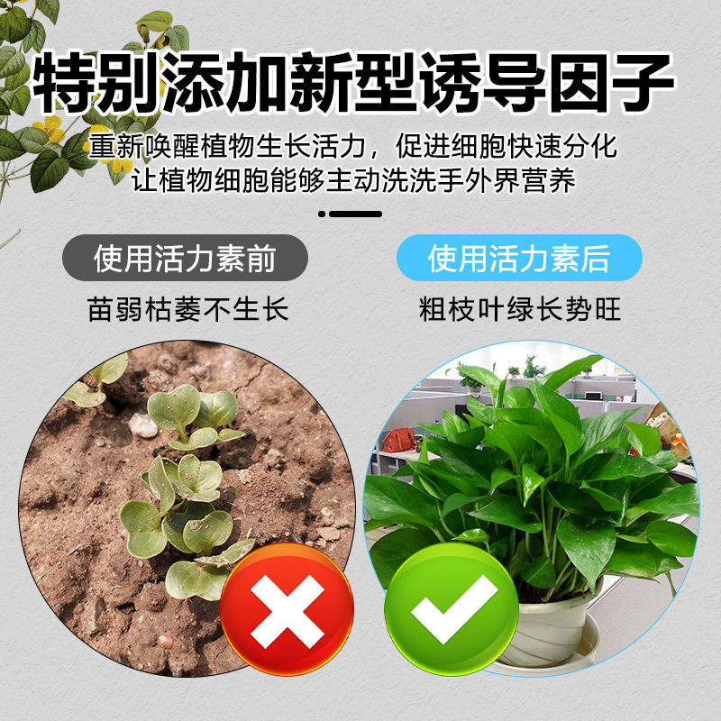 植物活力素浓缩营养液促生长养花卉绿植生根液多肉通用水溶性肥料,鲜花速递/花卉仿真/绿植园艺,家庭园艺肥料,淘宝优惠券,粉丝福利购,淘宝优惠卷