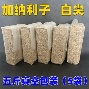 鹦鹉鸟食饲料 加纳利子 白尖粟 金丝雀芙蓉鹦鹉黄雀鸟粮真空5斤装