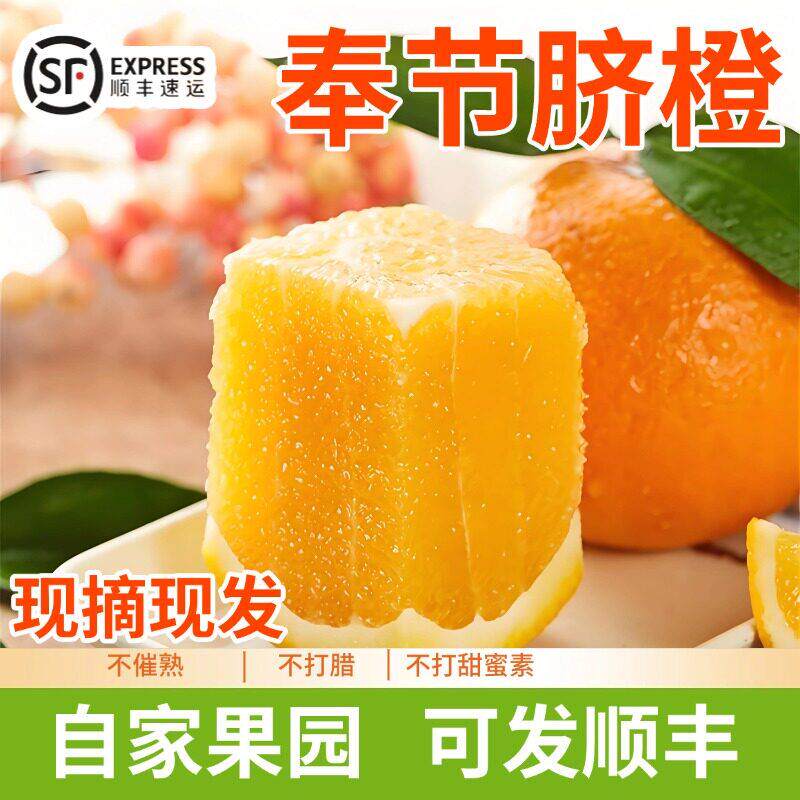 董宇辉推荐5A精品纽荷尔正宗奉节脐橙现摘现发橙新鲜香甜爆汁礼盒图片