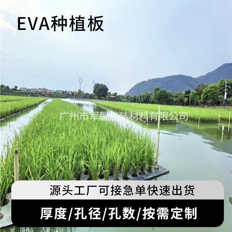 EVA带孔无土水上稻浮床定值板
