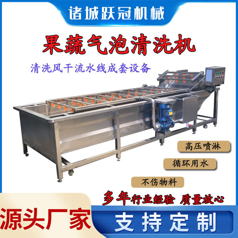 果蔬千禧果清洗机去农残