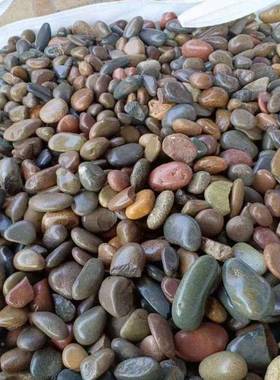 水鹅卵石滤料石英雨花灰色挡EIR售商变石压器石销优质