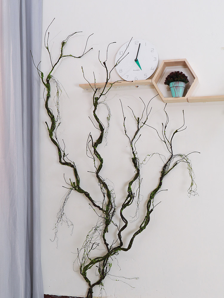 树藤装饰青苔枯枝枯藤过江龙藤造景假藤蔓植物枯木树干树枝