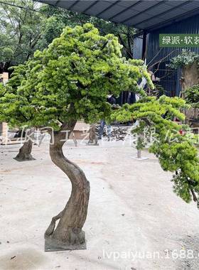 茶楼特摆放仿真松树客松色雪松展台会舞布景道PVM具迎人造松树松