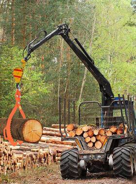 提木木钩木吊木钩VDR原木吊钩型吊钳伐钩重圆木起重钩提树钩搬木